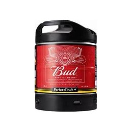 FUT BUD KING OF BEER 30L