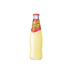 SCHWEPPES AGRUM' 25CL * 24